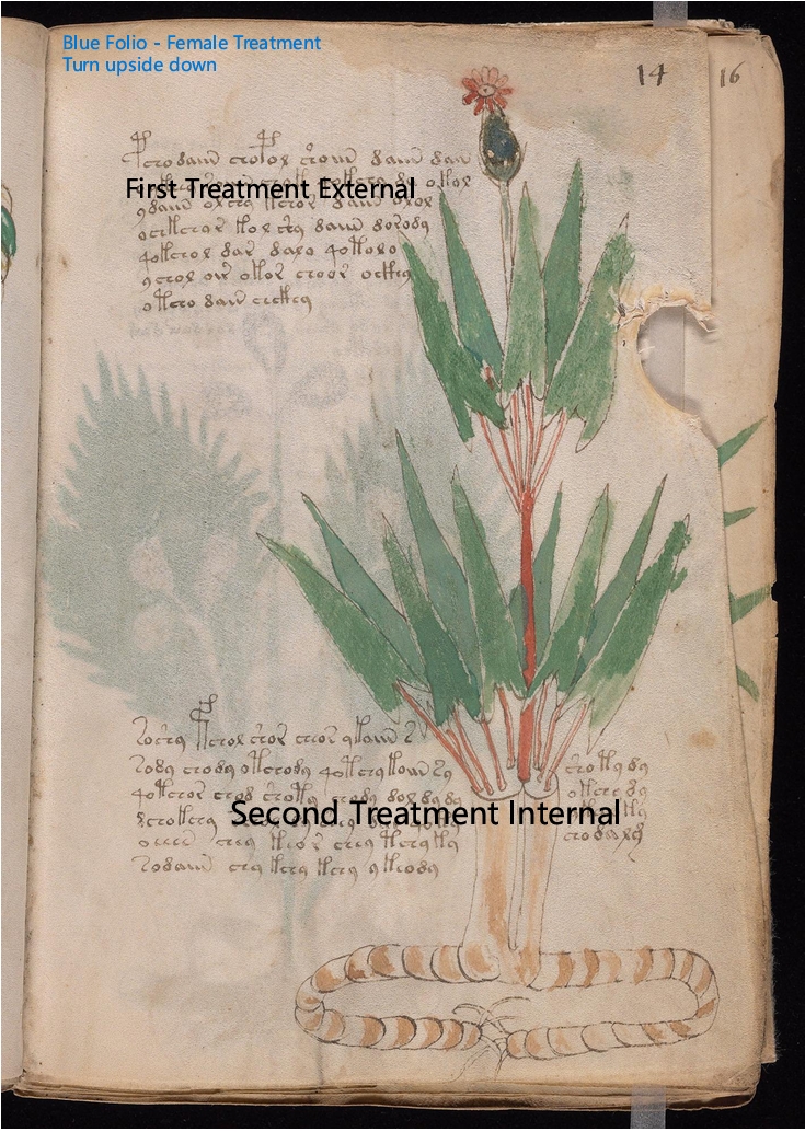 Secondary labelled diagram of Folio 14r